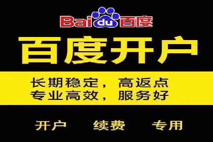 Sem优化公司案例：打造高效广告投放方案